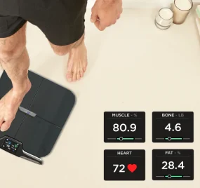 scale 1